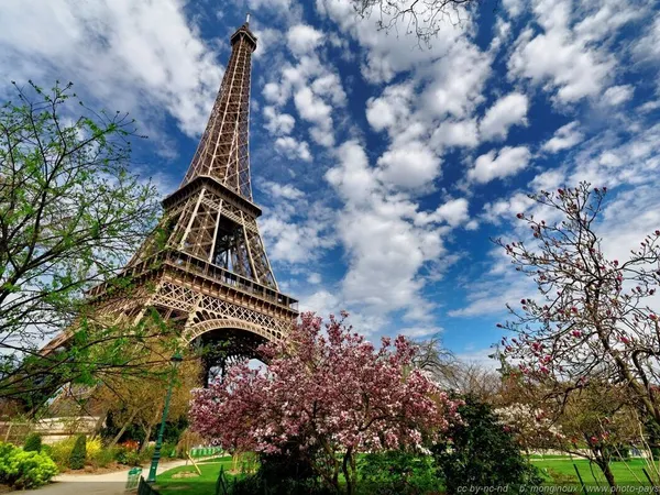 Studio de 17m2 à louer sur Paris 15