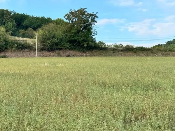 Terrain 1645 m²