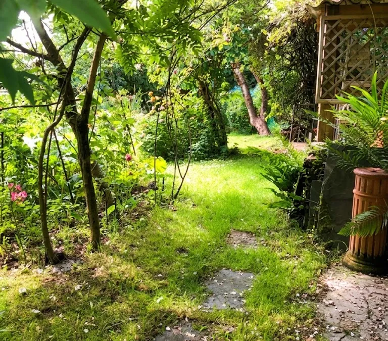 Photo 11