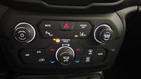 Jeep Renegade 1.6 MultiJet 120ch Quicksilver Winter Edition MY20 — photo 32