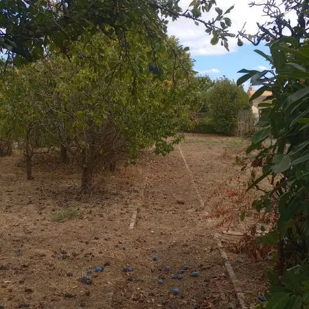 Jardin potager/ verger