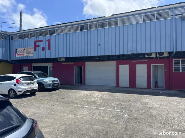 Local professionnel 200m2 a louer