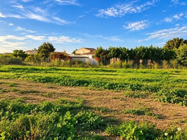 Terrain 215 m²