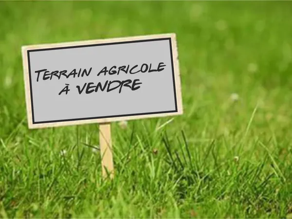 EXCLUSIVITÉ - TERRAIN AGRICOLE