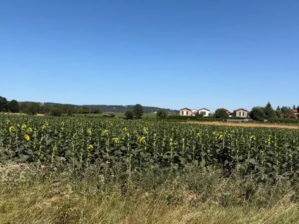 Terrain 395 m² Cheyssieu
