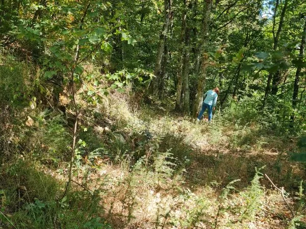 Terrain de loisir