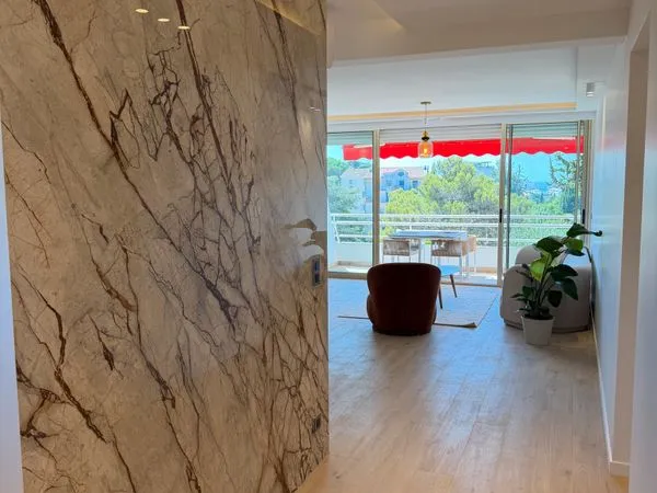 Appartement à vendre cannes 06