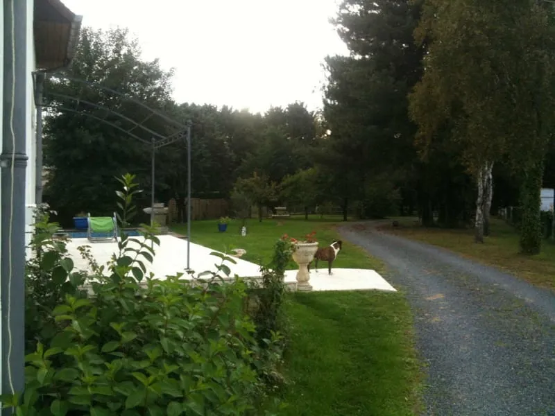 Photo 3