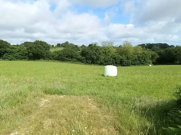 Terrain nu non constructible