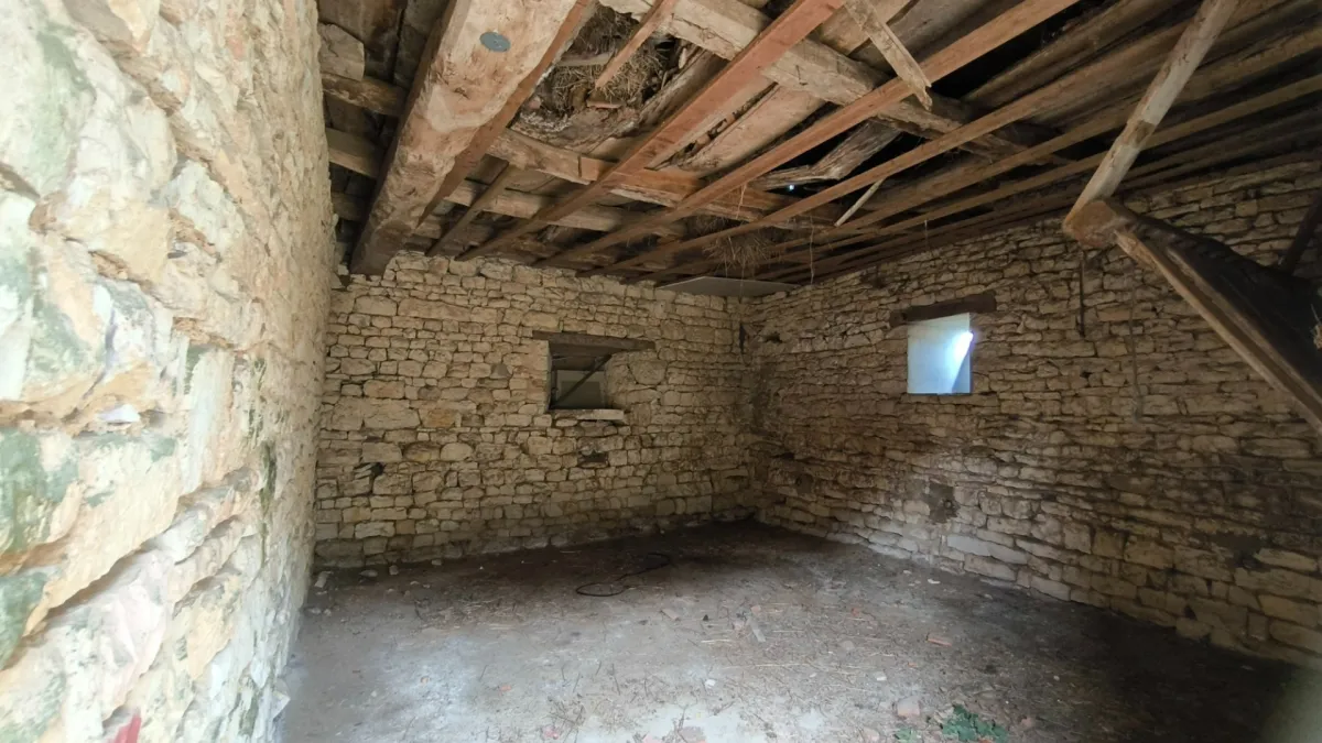 Photo 31
