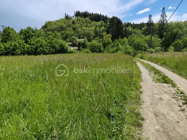 Terrain 2875 m²