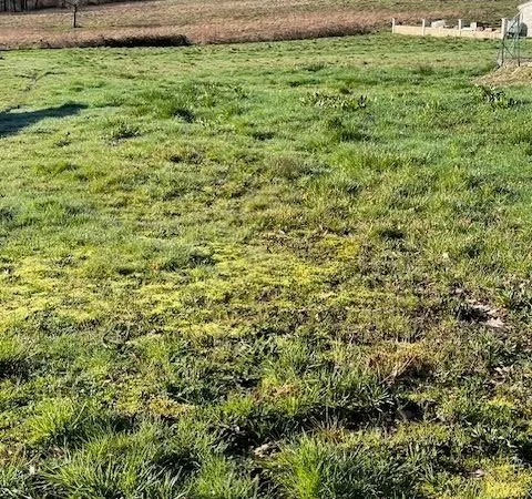 Terrain 3 159 m² Lunas