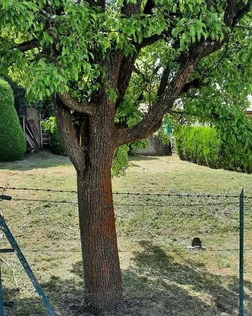 Terrain constructible