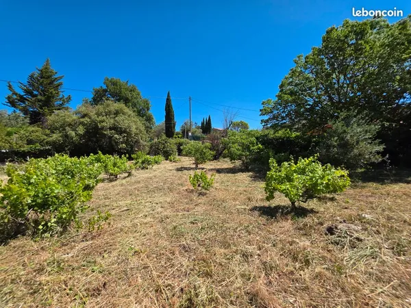 Terrain de 979 m² orienté plein Sud