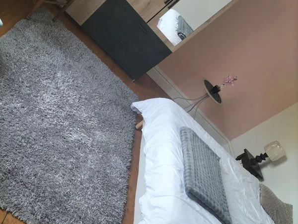 Appartement Location Dijon 2p 42m² 1500€