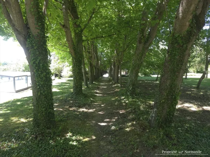 Photo 26