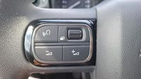 Citroen C3 1.5 BlueHDi 100ch S&S YOU — photo 15