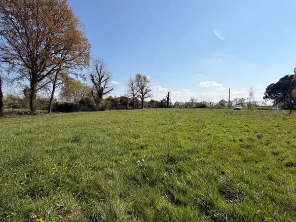 Terrain 3084 m²