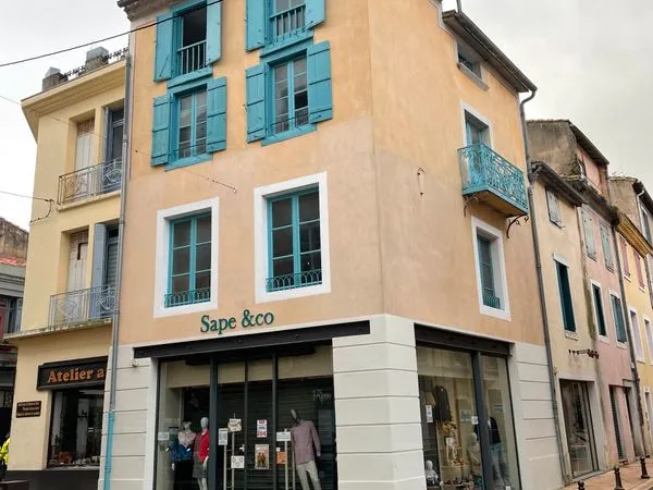 Local commercial rue pietonne