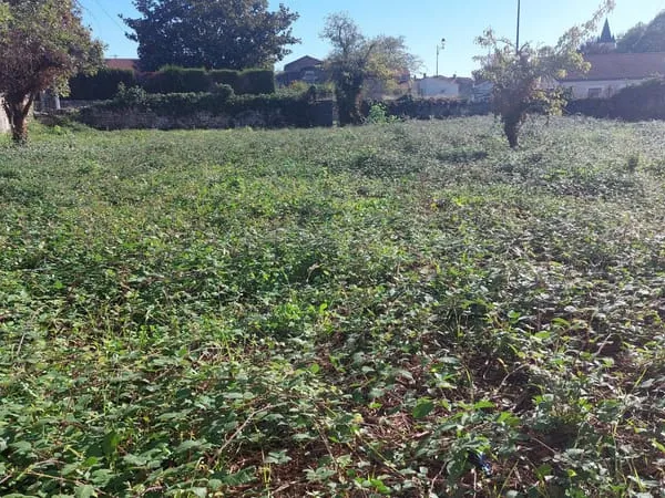 Villiers en Plaine centre. Terrain à batîr