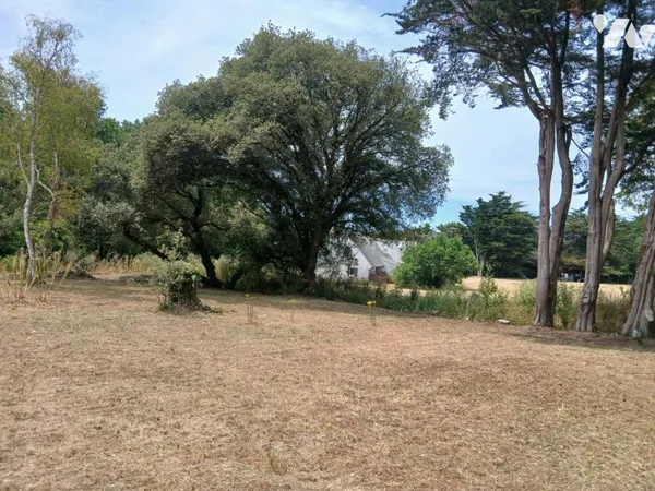 Terrain 1243 m²