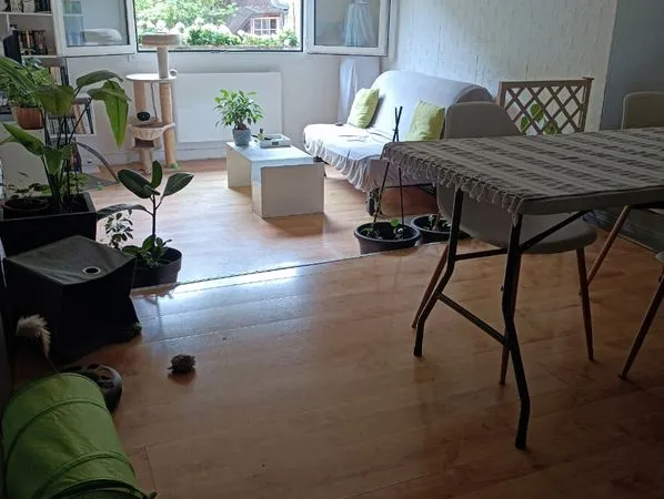 Appartement f2