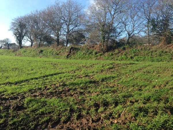 Terrain 400 m²