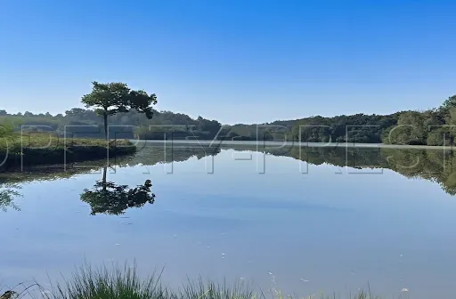 Propriété 7 pièces 300 m²
