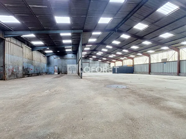 Local commercial 770 m²
