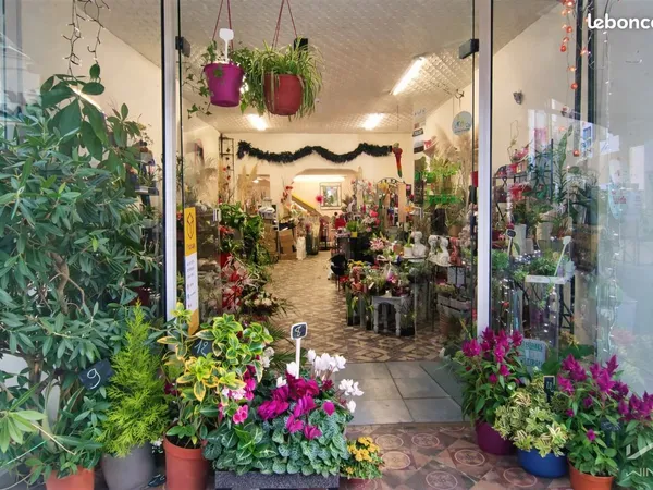 Fleuriste, fonds de commerce 110 m² Bourg-Saint-Andéol