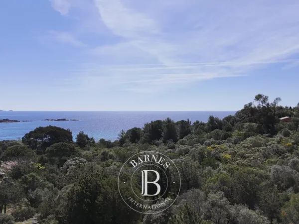 Exclusivité, Palombaggia, terrain à bâtir, vue mer, plage à pied