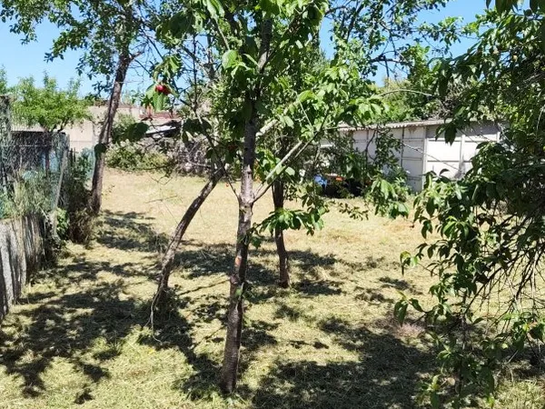 Loue terrain 250m² avec jardin 200m², arbres fruitiers et local 6m² avec accès eau potable