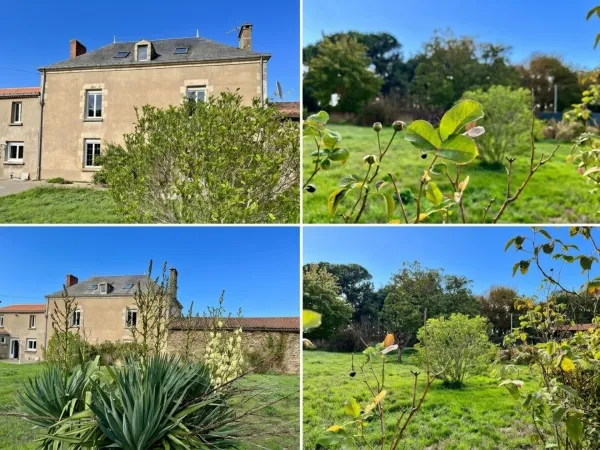 Maison 7 pièces 272 m²