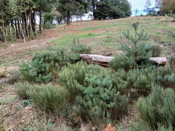 Terrain de loisir
