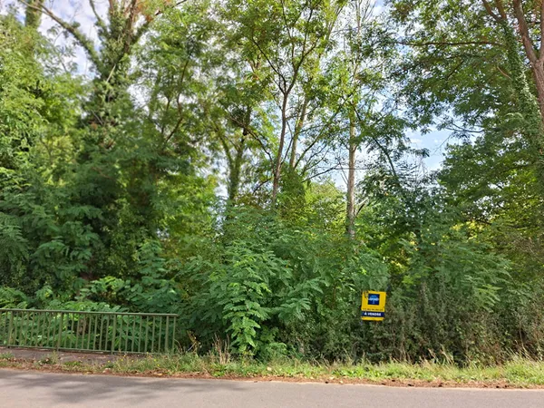 Terrain 7240 m²
