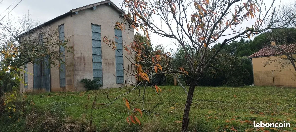 Photo 1