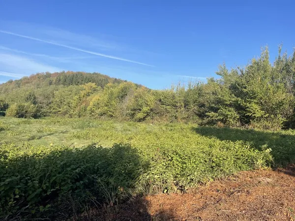 Beau terrain plat viabilisé de 2568 m2
