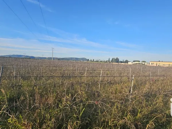 Terrain 6151 m²