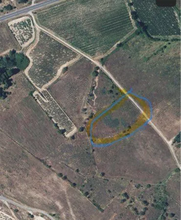 Terrain agricole