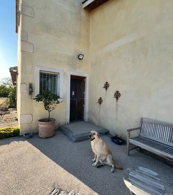 Photo 7