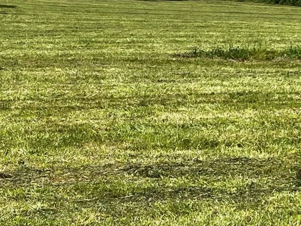 Terrain 1250 m²