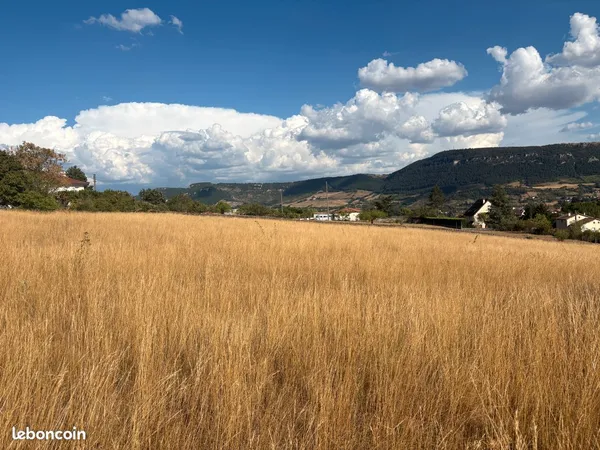 Terrain pour paturâge