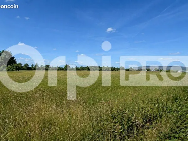 Terrain 1 100 m² Sainte Genevieve