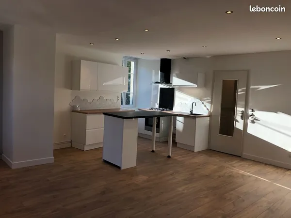 T3 78 m² entièrement rénové - Vienne centre - 690 CC