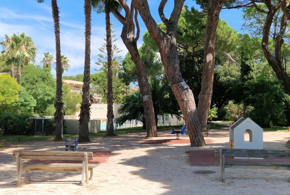 Photo 8