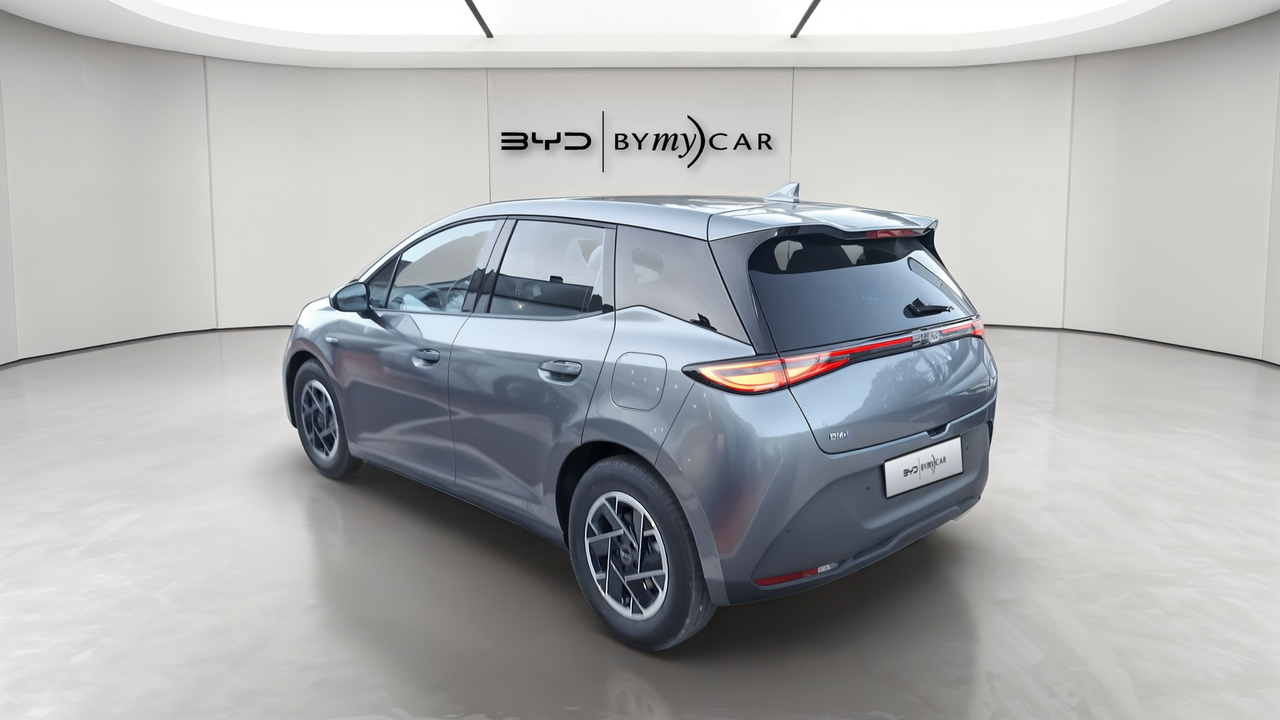 BYD Dolphin G 1.5 DM-i PHEV 212 ch — photo 3