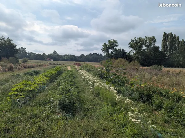 Ferme florale terrain agricole
