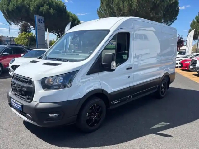 Ford Transit fourgon fg t310 l2h2 2.0 ecoblue 130ch trend — photo 12