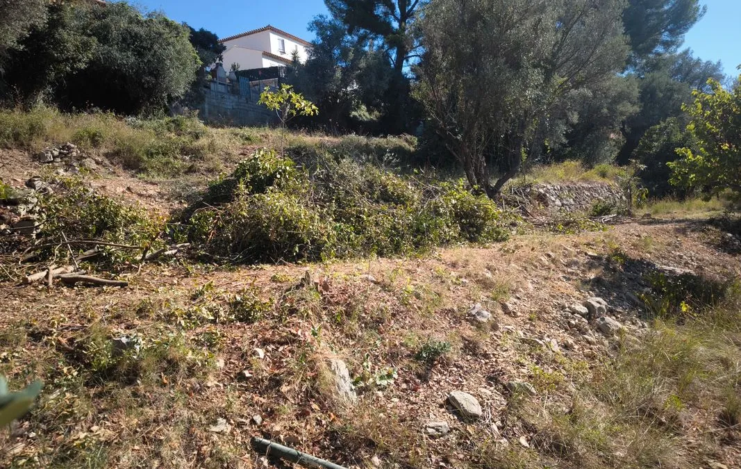 Photo 3