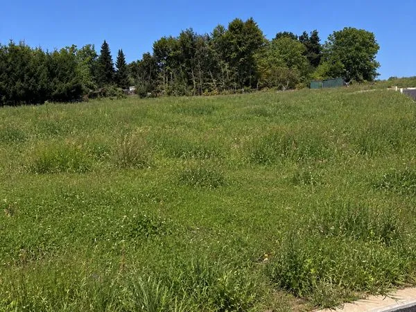 ECKWERSHEIM Terrains à bâtir
